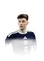 Tierney 96 Festival of Football: Glory Hunters CB FC 26 card