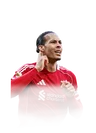 van Dijk 99 FUTTIES CB FC 26 card