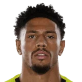 Okoye 74 Rare GK FC 26 card