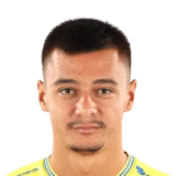 Țicu 66 Common LB FC 26 card