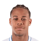 Danois 74 Rare CM FC 26 card