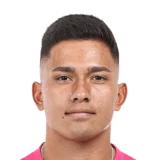 Villanueva 60 Rare GK FC 26 card