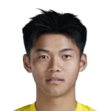 Liu Xiaolong 51 Common LW FC 26 card