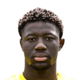 Haidara 61 Rare CB FC 26 card