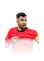Trezeguet 93 Festival of Football: National Pride LM FC 26 card