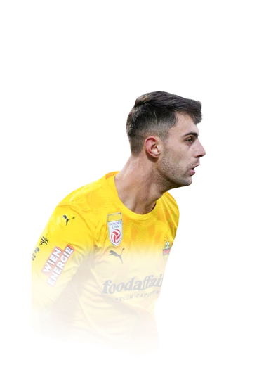 Hedl 85 Team of the Week GK FC 26 card
