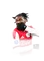 Mokio 84 Team of the Week CDM FC 26 card