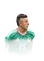 Alvarado 94 Festival of Football: Summer Stars RW FC 26 card