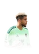 St. Clair 92 Team of the Season GK FC 26 card