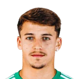 Guilherme Zimovski 61 Rare RM FC 26 card