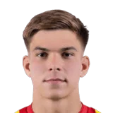 Zwoźny 64 Rare RM FC 26 card