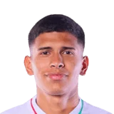 Roldán 67 Common CM FC 26 card