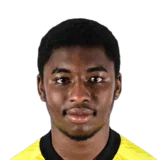 Diallo 54 Common GK FC 26 card