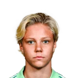 Andersson 59 Common GK FC 26 card