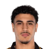 Laalaoui 61 Common CM FC 26 card