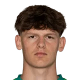 Schweighofer 53 Common CB FC 26 card