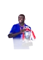 Thuram 94 Trophy Titans ICON RB FC 26 card