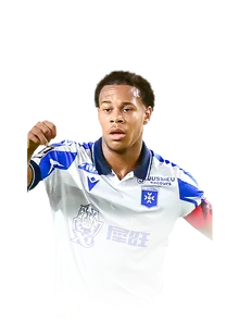Danois 81 Squad Foundations CM FC 27 card