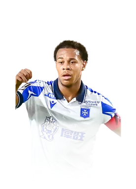 Danois 81 Squad Foundations CM FC 27 card